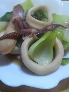 チンゲン菜とイカの中華炒め-レシピのメイン写真