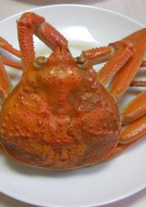 カニのゆで方（香箱がに・ズワイガニ）-レシピのメイン写真