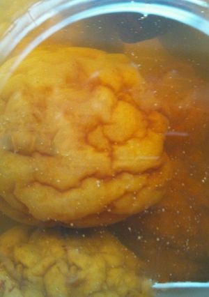 梅の蜂蜜漬け-レシピのメイン写真