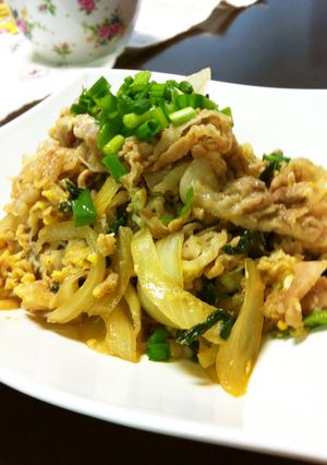 ご飯がススム！豚ニラ玉ねぎの甘辛炒め-レシピのメイン写真