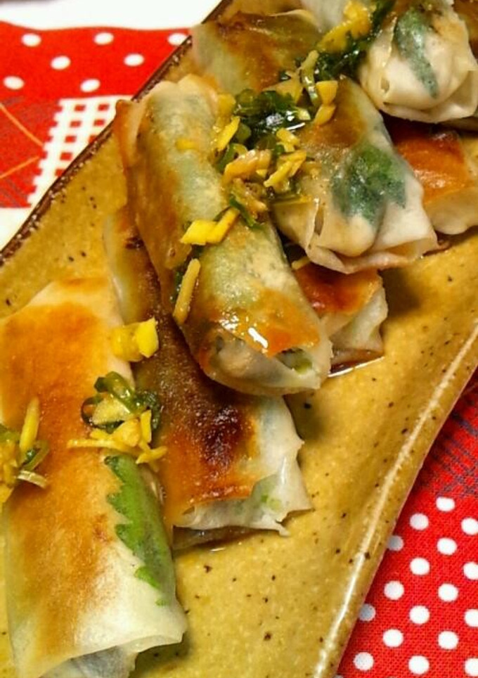 ヘルシー白菜とささみの春巻き♪-レシピのメイン写真