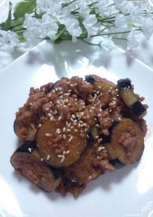 お弁当に♪挽き肉とナスのピリ辛炒め-レシピのメイン写真