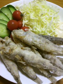 カラッとふんわり☆メヒカリの唐揚げ-レシピのメイン写真