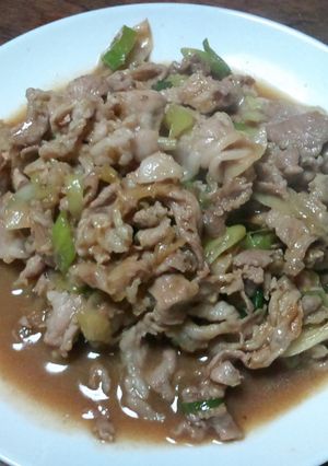 ネギ焼き肉炒め-レシピのメイン写真