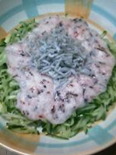 キュウリのサラダかつお梅味とろろがけ-レシピのメイン写真