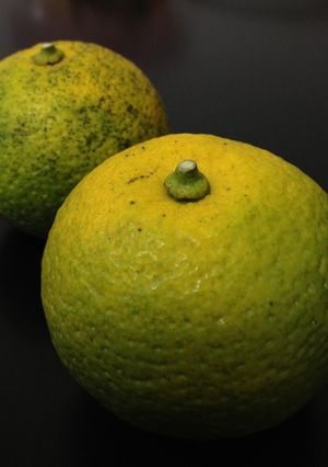 手作りポン酢-レシピのメイン写真