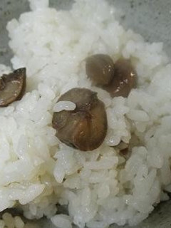 誰でも美味しく作れる超簡単時短栗ごはん-レシピのメイン写真