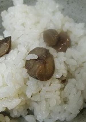 誰でも美味しく作れる超簡単時短栗ごはん-レシピのメイン写真
