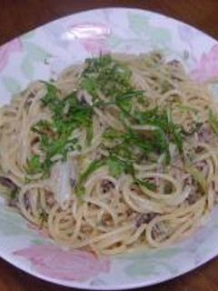 鯖も喜ぶ”サバキャベスパゲティ”でござーい。-レシピのメイン写真