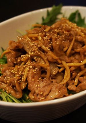 豚肉と筍と牛蒡の甜麺醤炒め-レシピのメイン写真