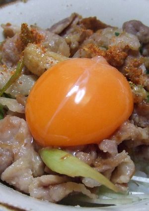 簡単！満腹！我が家の節約スタミナ丼-レシピのメイン写真