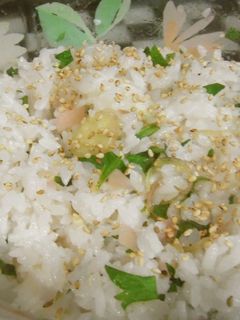 新生姜のさっぱり混ぜご飯-レシピのメイン写真