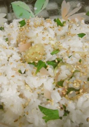 新生姜のさっぱり混ぜご飯-レシピのメイン写真
