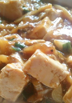 ご飯が進む麻婆豆腐-レシピのメイン写真