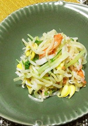 味付けもやしの和え物-レシピのメイン写真