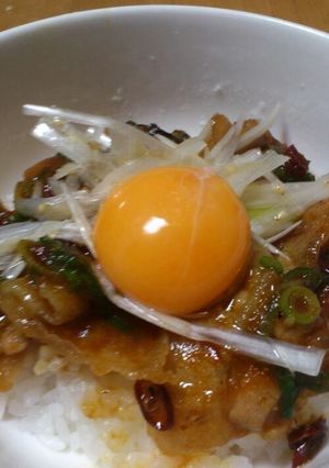 絶品★焼肉丼-レシピのメイン写真