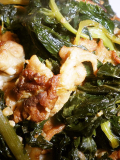 香り豊か!あしたばと豚肉の醤油麹炒め-レシピのメイン写真