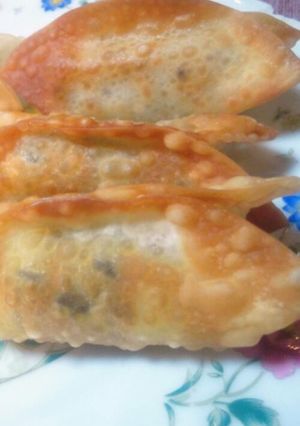 カレー風味の包み揚げ＊揚げ餃子-レシピのメイン写真