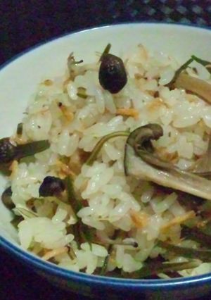 きのこ＆おきあみde炊き込みご飯-レシピのメイン写真