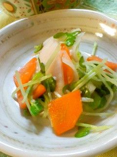 塩麹で簡単浅漬け-レシピのメイン写真