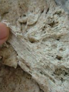 天然酵母を作ろう! その④-レシピのメイン写真