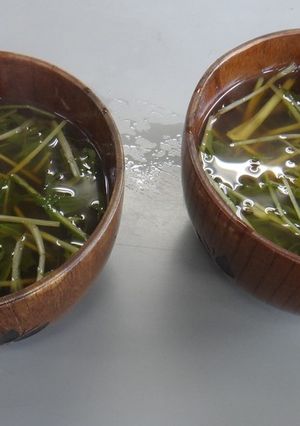 [簡単]水菜の和風生姜スープ-レシピのメイン写真