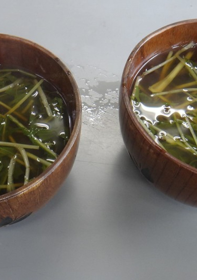 [簡単]水菜の和風生姜スープ-レシピのメイン写真