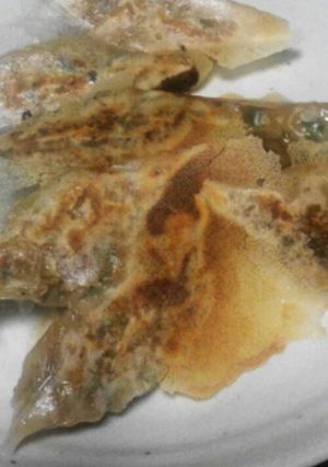 野菜いっぱい我が家の羽つき焼き餃子-レシピのメイン写真