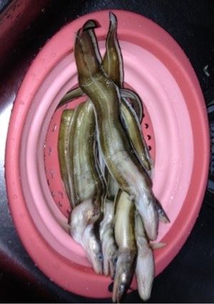 魚屋さんの本格的簡単穴子のしご-レシピのメイン写真