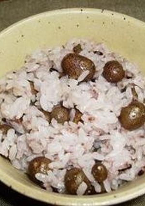 黒米入れて♪むかご御飯-レシピのメイン写真