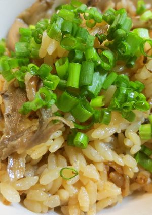 豚と牛蒡の炊き込みご飯-レシピのメイン写真