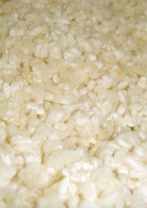 自家製　米麹　手作り味噌-レシピのメイン写真