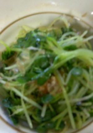 カイワレ大根のお浸し-レシピのメイン写真