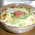 病み上がりに☆卵とじうどん 梅干のせて~