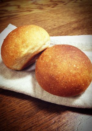 全粒粉とはちみつの丸パン-レシピのメイン写真