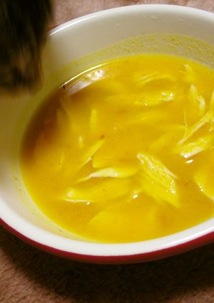 ねこごはん　～かぼちゃのポタージュ～-レシピのメイン写真