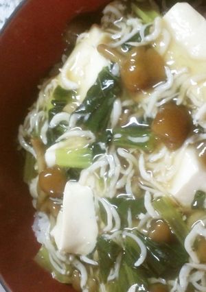 しらす入り♪簡単あったま～るお豆腐丼-レシピのメイン写真