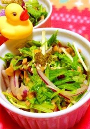 水菜と納豆サラダ-レシピのメイン写真