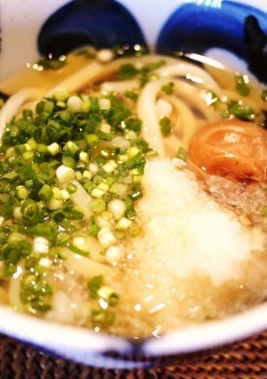 梅＆おろし★絶品簡単うどん-レシピのメイン写真