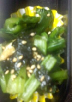 レンジでチン♪小松菜の煮びたし-レシピのメイン写真
