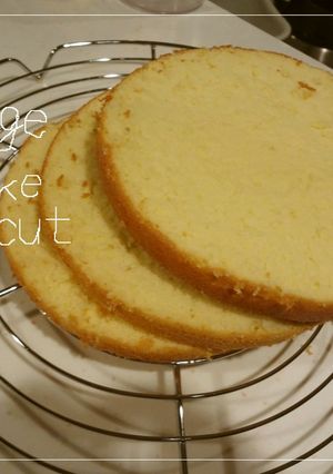 スポンジケーキのカットの仕方-レシピのメイン写真