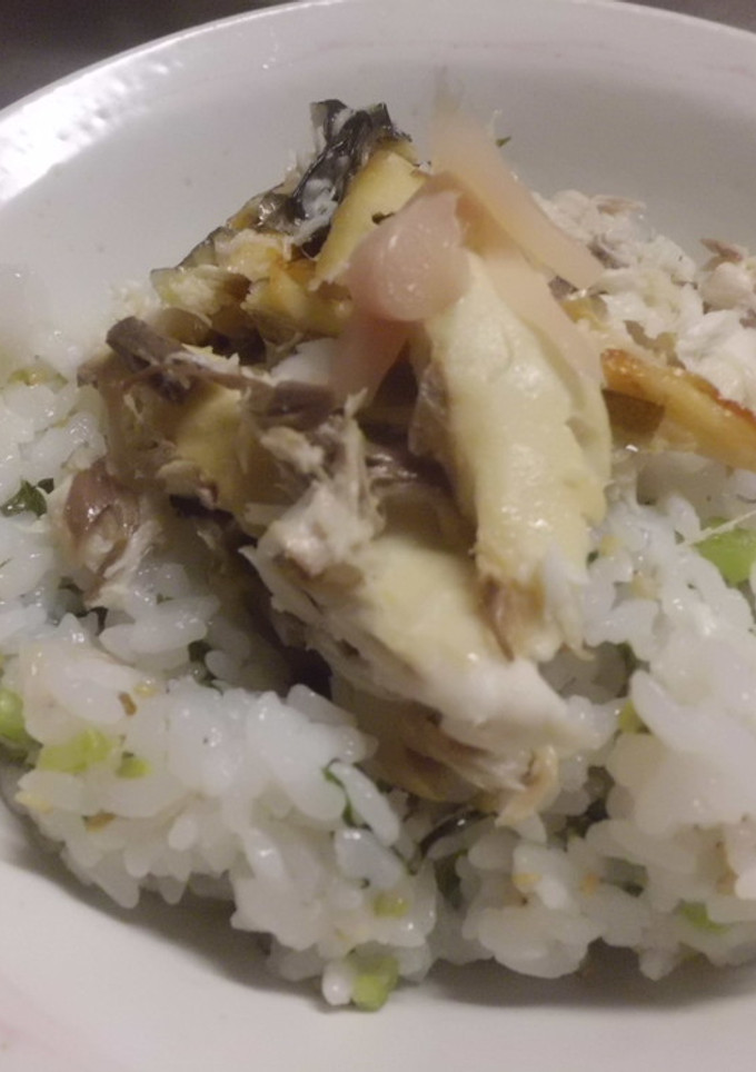 岩下の新生姜でさっぱりさばご飯-レシピのメイン写真