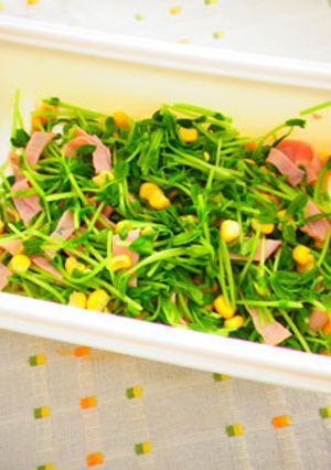 レンジでチン♪『豆苗のベーコン炒め』-レシピのメイン写真