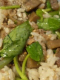 牛肉とクレソンの混ぜご飯-レシピのメイン写真