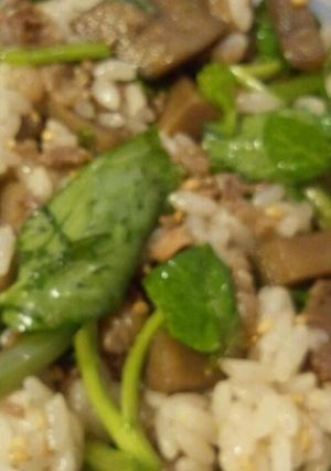 牛肉とクレソンの混ぜご飯-レシピのメイン写真