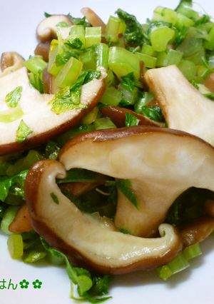 大根葉の炒め物-レシピのメイン写真