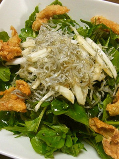 水菜ルッコラ大根とジャコと鶏皮のサラダ-レシピのメイン写真