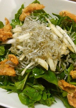 水菜ルッコラ大根とジャコと鶏皮のサラダ-レシピのメイン写真