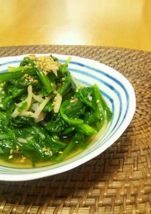 新しょうがと青菜のおひたし-レシピのメイン写真