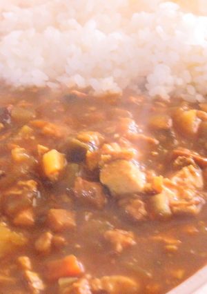 厚揚げと大根の節約キーマカレー-レシピのメイン写真